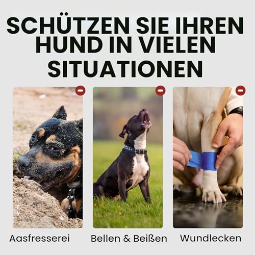 BRONZEDOG Drahtkorb Hund Maulkorb Metall Hund Maulkorb Leder verstellbar (Size 5: Belgian Malinois & Golden Retriever)