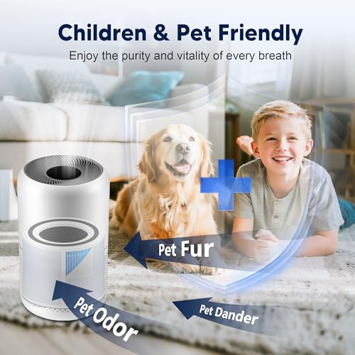 Image of Core 300 Smoke Remover Replacement Filter for LEVOIT Core 300 Core 300-P Core 300S Core 300S-P Vortex Air Air Purifier, 4-in-1 High-Efficiency Activated Carbon, Core 300-RF-SR, 2 Pack, Blue