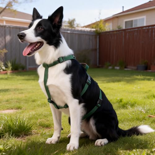 Ledeak Hundegeschirr Ausbruchsicher, Anti Zug Sicherheitsgeschirr Hund, Verstellbare Brustgeschirr mit Gepolstertem Griff, Leicht Atmungsaktiv Weste für Mittelgroße und Große Hunde (Dunkelgrün, M)