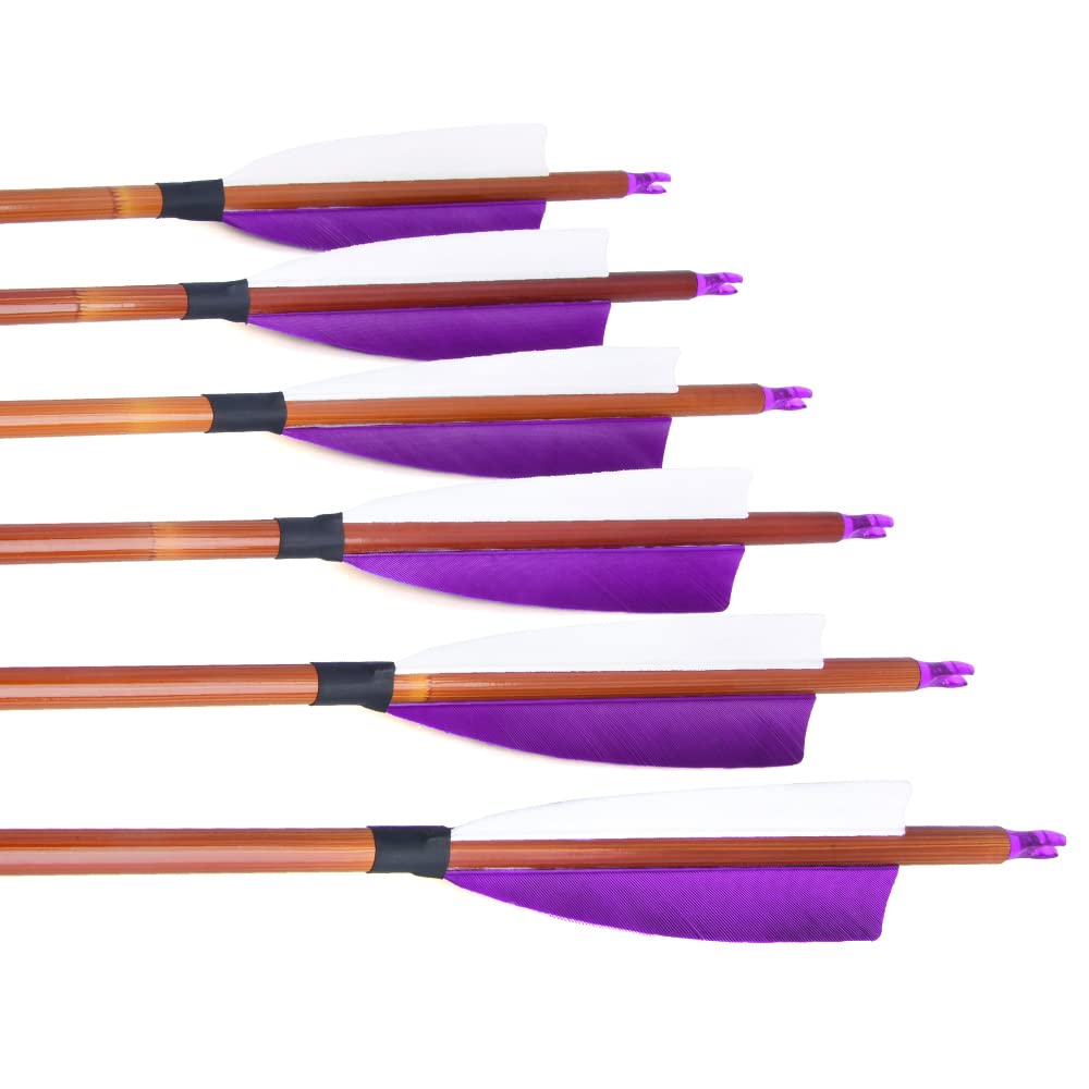 12 flèches en Carbone de 30 Pouces avec Plumes Naturelles de 4 Pouces - universelles pour Les arcs Classiques et composés, parfaites pour la Chasse et la Pratique du tir à l'arc