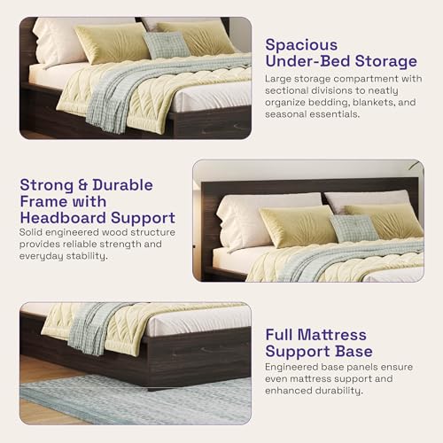 Image of Wakefit Bed | 3 Yr Warranty | King Size Bed, Comes with Storage Box, Noise-Free, Density: 680-750 kg /m, Termite & Borer Resistant, Fits Mattresses Up to 8 inches (Centaur 78 x 72 - Wyoming Maple)