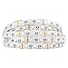 BTF-LIGHTING 16.4ft 5M 5050 RGBWW 4 in 1 RGB+Warm Whtie Strip Mixed Color 60leds/m IP65 Waterproof in slicone Coating 300LEDs Ribbon Lamps Multi-Colored LED Tape Lights