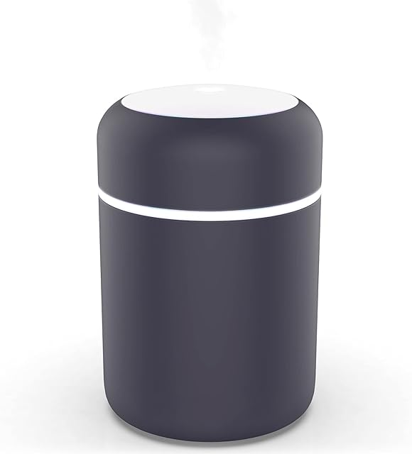 Bliss Fragrance - Portable Essential Oil Diffuser - USB Powered - Travel Humidifier with Lights