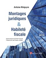 MONTAGES JURIDIQUES ET HABILETE FISCALE 2EME EDITION 2297069758 Book Cover