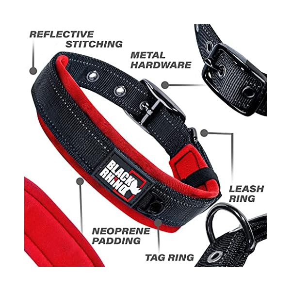 Black Rhino Comfort Dog Collar Buy Online