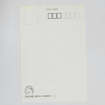 馬の画 ウェビックガレージセール | □カワサキ NINJA250 純正 アクセル