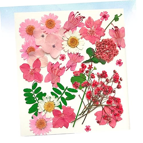 Paquete de 30 flores artesanales prensadas secas para decoración miniatura 5