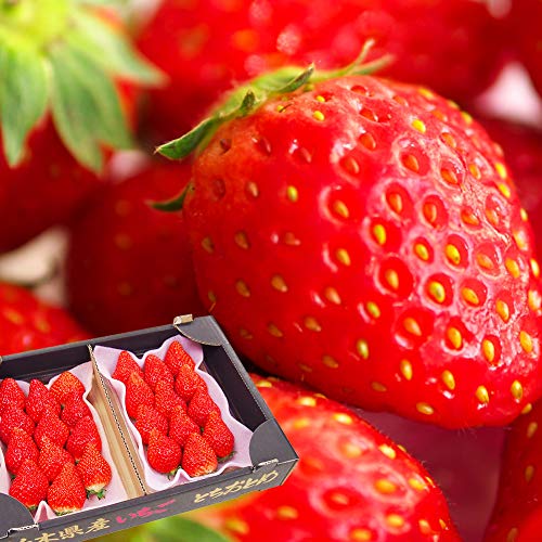 食う･1701 とちおとめ狩り （やいた里山 いちご園）やいたさとやま いちごえん ワープトラベラー食う坊の食べ歩き