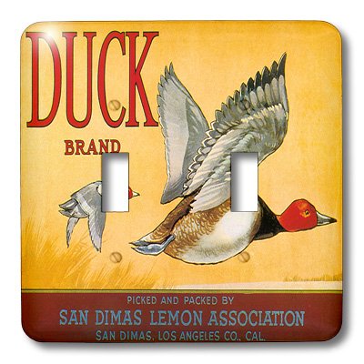 Interrupteur à bascule double 3dRose Duck Brand San Dimas multicolore