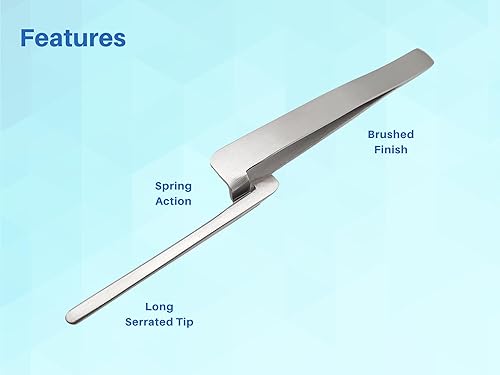 Miniatura 5 de Juego de 5 soportes para papel articulado dental, pinzas rectas para sujetar papel, instrumentos de arte de acero inoxidable