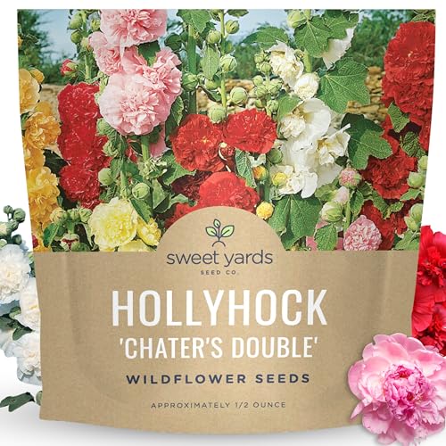 Hollyhock 'Chater's Double' Mix - Large 1/2 Ounce Packet - 1,500 Flower Seeds for Planting - Alcea rosea