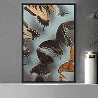 Framed Canvas Wall Art Butterflies Butterfly Colorful Farmhouse/Country Hallway Insects Multicolor Photography - 16x24 inches