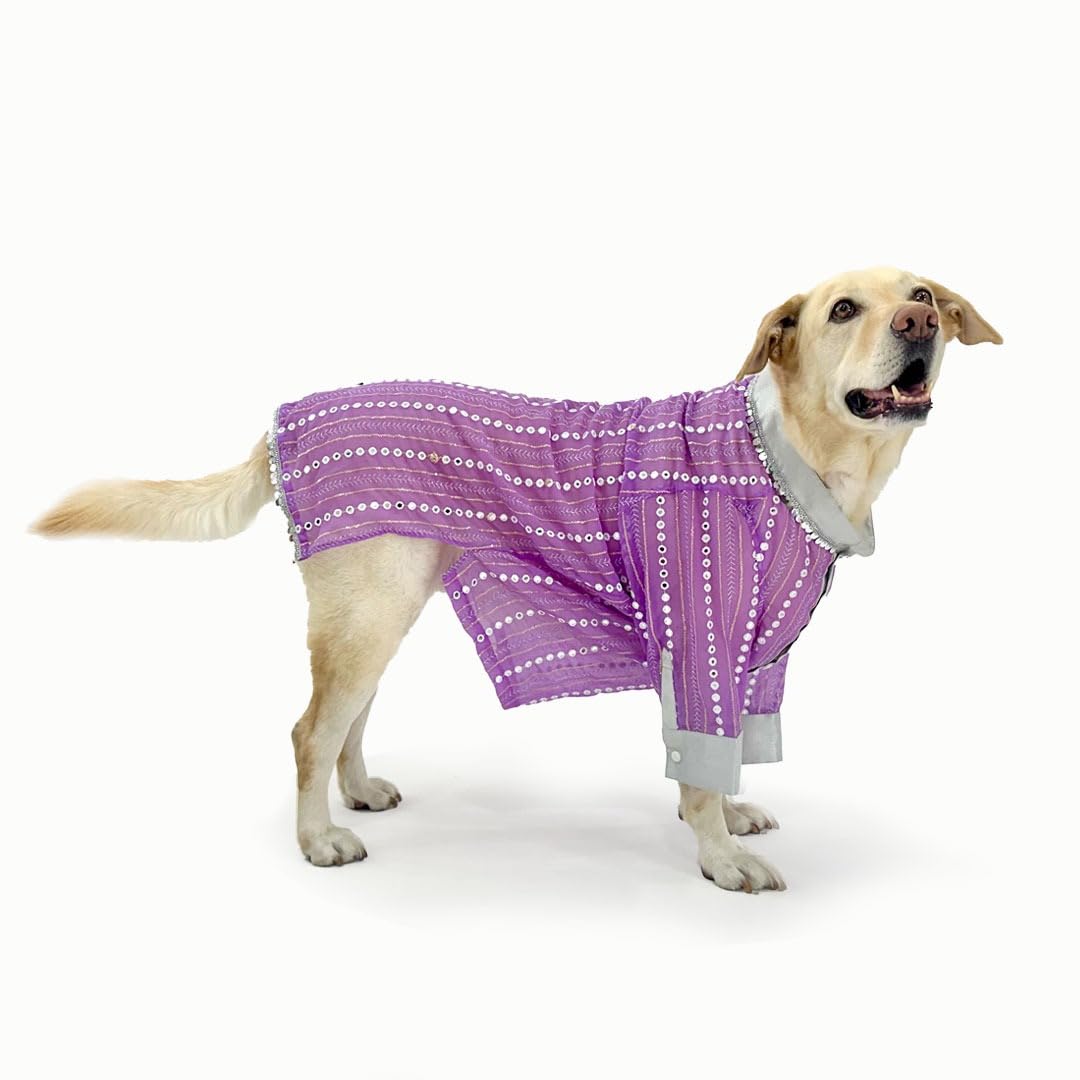 DOG-O-BOW Yellow Embroidered Sherwani for Dogs (S) (B0DDY17FWQ) Amazon Price History, Amazon Price Tracker