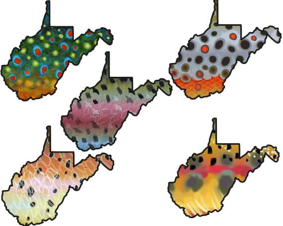 West Virginia Trout 5-Sticker Pack – 3' Fly Fishing Waterproof Decals Featuring Unique Rainbow, Brown, Brook, Cutthroat, Golden Trout Patterns, Durable for Hydroflask, Cooler, Laptop, Car Window