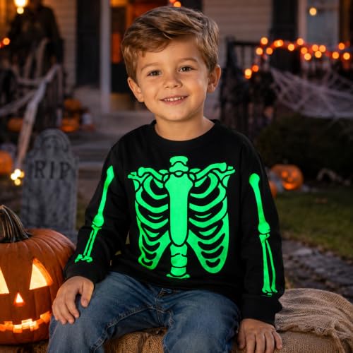 Image of Akyzic Toddler Boys Sweatshirts Cotton Crewneck Truck Shirt Dinosaur Long Sleeve Pullover Tops Tees 2-8T