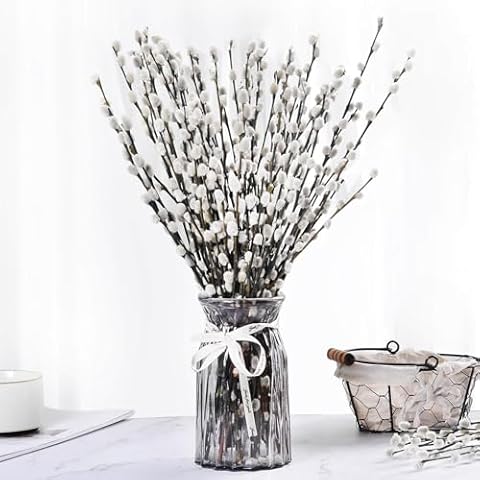 45 Stems 17＂Real Dried Pussy Willow Branches for Vase，100% Natural PussyWillows with White Flowers, Snow Willow Branches for Indoor and Outdoor Decor, Wedding Home Party Hotel Fireplace Yard Cover