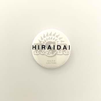Amazon.co.jp: RSR24 平井大 HIRAIDAI ガチャ缶バッジ