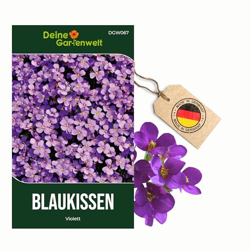 Blaukissen Violett Samen - Aubrieta cultorum - Blaukissensamen - Blumensamen - Saatgut für 100 Pflanzen