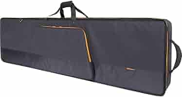 Amazon.com: Roland CB-G76S Gold Series Slim Carrying Case