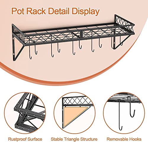 Image of Craft Expertise Wall-Mounted Pot & Pan Rack - Heavy-Duty 25 inch x 10 inch x 5 inch Metal Cookware Organizer with 10 Hooks | Space-Saving Hanging Shelf for Saucepans & Utensils - Black