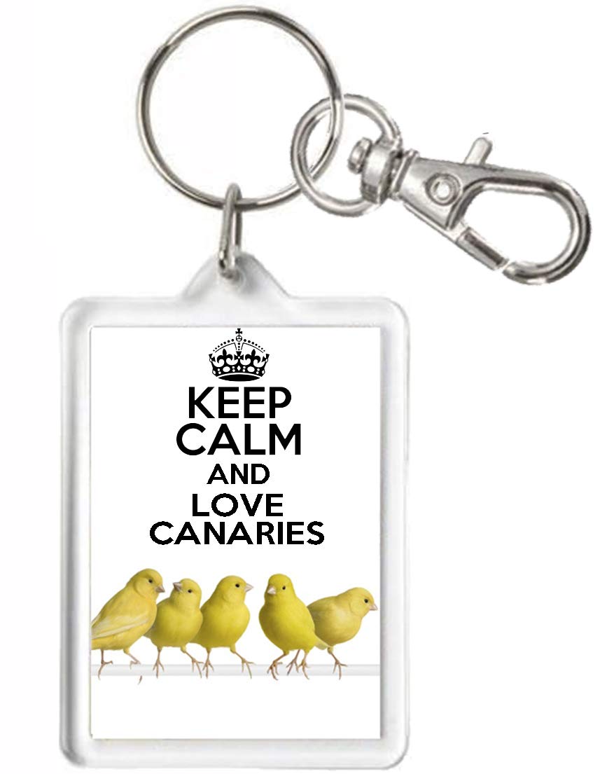 Kazmugz Multicolor Canary Keyring, Keep Calm And Love Canaries. Can Be Personalised. Canary Gift