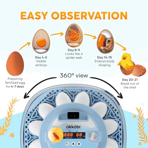 Okköbi 12 Egg Incubator with Automatic Egg Turning and Humidity Control – Egg Incubators for Hatching Eggs – Egg Candler, Water Bottle Refill, Air Vent, 360° View – Incubadora de Huevos de Gallina