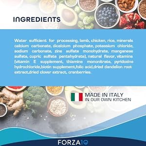 Forza10 Actiwet Moist Kidney Canine Meals, Moist Renal Canine Meals 3.5 oz, Lamb Taste Kidney Care Canine Meals Moist, for Renal Help Canine and Kidney Failure Canine Meals, 32 Pack Forza10 Actiwet Moist Kidney Canine Meals, Moist Renal Canine Meals 3.5 oz, Lamb Taste Kidney Care Canine Meals Moist, for Renal Help Canine and Kidney Failure Canine Meals, 32 Pack
