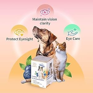 Dog-and-Cat-Eye-Care-and-Health-Lutein-Astaxanthin-Blue-Light-Defense-Preserve-Visual-Wellness-and-Brightness-in-EyesEnhance-VisionNatural-Nutrient-Rich-Formula-28-Oz - Cucciolini Doodles   Dog-and-Cat-Eye-Care-and-Health-Lutein-Astaxanthin-Blue-Light-Defense-Preserve-Visual-Wellness-and-Brightness-in-EyesEnhance-VisionNatural-Nutrient-Rich-Formula-28-Oz