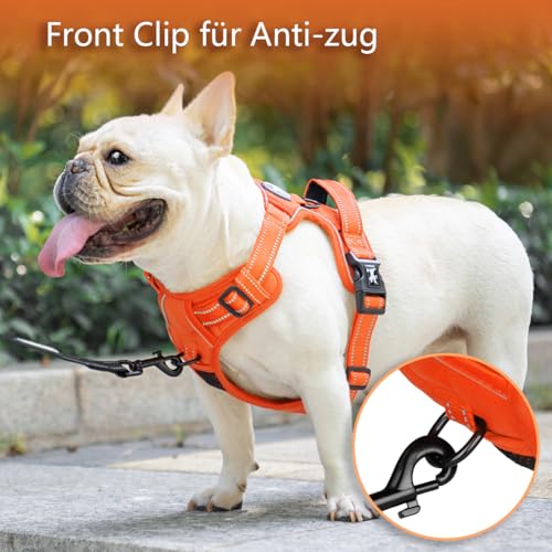 PoyPet Keine Pull Hundegeschirr, Reflektierendes Hundegeschirr für Hunde ohne Choke, Verstellbare, weich gepolsterte Haustierweste mit Easy Control-Griff für kleine bis große Hunde (Orange,XS)
