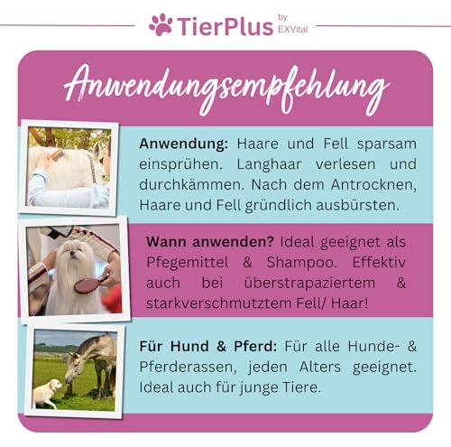 Haarpracht Spray für Pferde & Hunde, 500 ml Sprühflasche, Fell-, Schweif-, & Mähnenspray, Pflegespray für seidigen Glanz, leichte Kämmbarkeit & Entwirrung, natürlich hautschonende Pflege – Bild 5