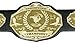 Undisputed Belts Universal Championship Belt - Custom Banners - Custom Banner Text and Colors - 2 Day Production