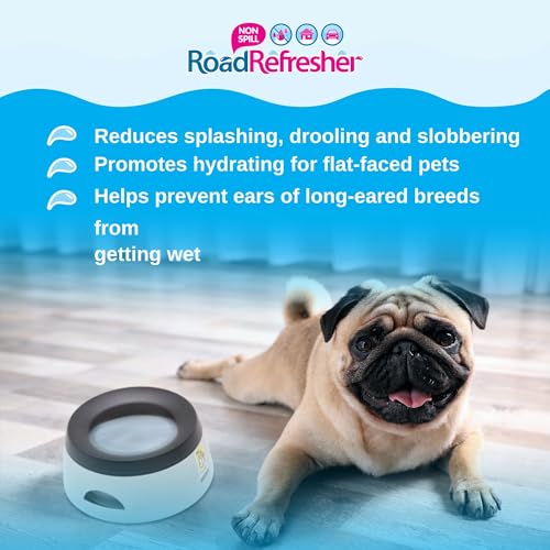 Road Refresher Non Spill Water Bowl Grey Small