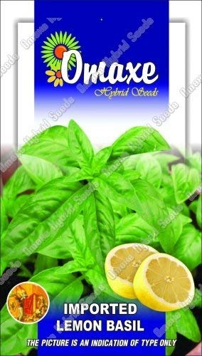 Omaxe Seeds Lemon Basil Herb Seeds Kitchen Garden Packet (B07MQFG2NB) Amazon Price History, Amazon Price Tracker