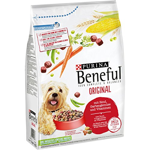 beneful junior