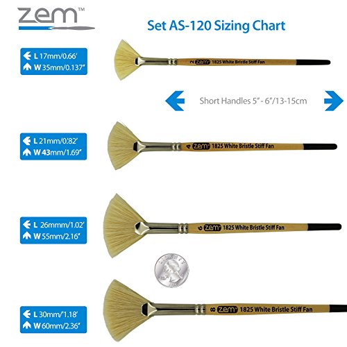 Zem Brush White Hog Bristle Stiff Fan Brush Set Size 2,4,6,8 #TOP3