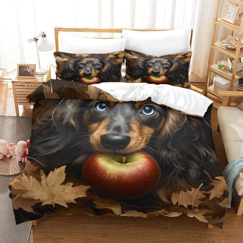 Housse de couette lavable machine pour lit 1 personne 135x200