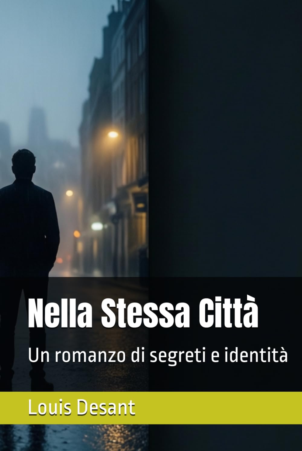 Nella Stessa Città: Un romanzo di segreti e identità