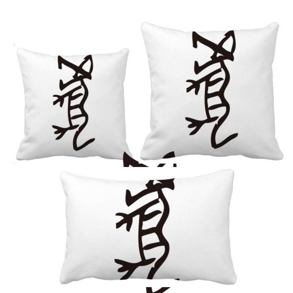 Coussin Tigre Zodiaque Parure de Coussin Décoration de Maison