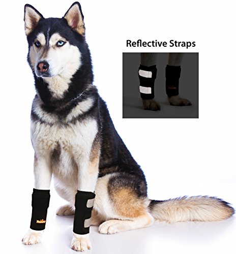 NeoAlly Dog Braces Front Leg Carpal Support Canine Wrist Braces with Safety Reflective