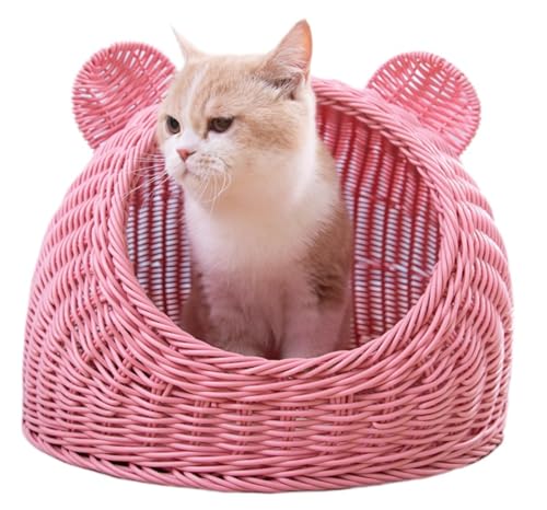 yBiizhezLbgnEX h[^ Lxbh L Lp ^ ې   lGjo[T ʋC (M,sN)