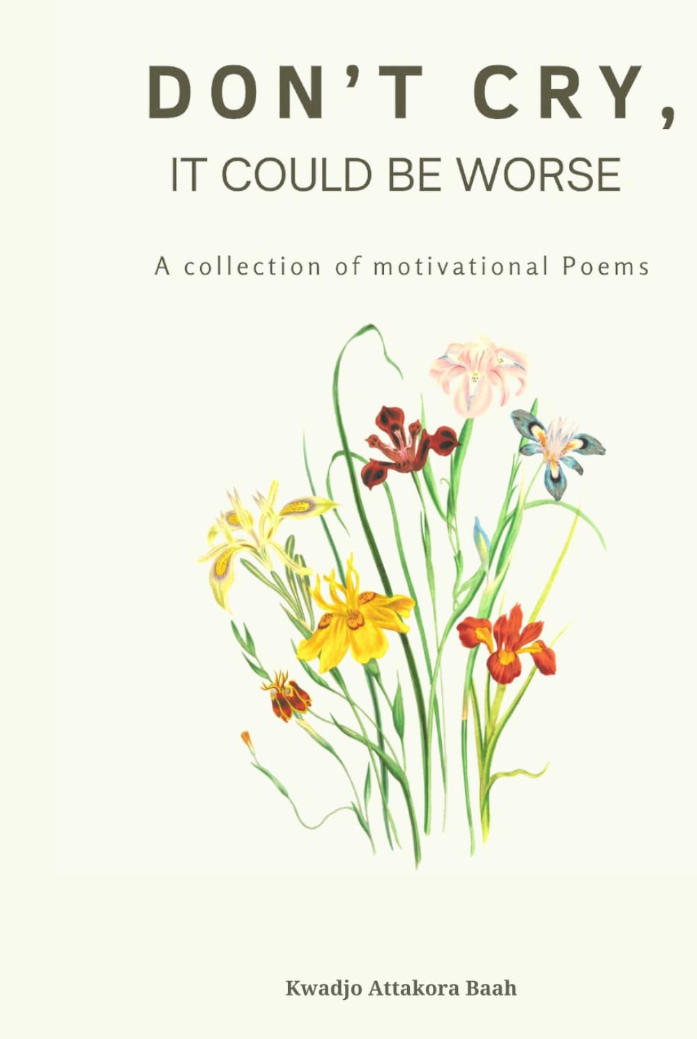 Don’t Cry, It Could Be Worse: A Collection of Motivational Poems