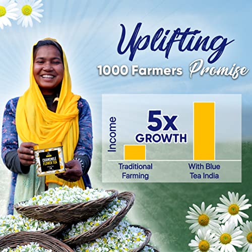 Blue Tea - Rose Buds Herbal Tea - 1.05 Oz | Grade A | Detox Tea | Caffeine Free Herbal Tea - Vegan - Gmo-Free - Recycled Food Grade Pet Jar #TOP5