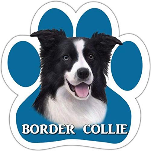 Border Collie Car Magnet With Unique Paw Shaped Design Measures 5.2 by 5.2 Inches Covered In UV Gloss For Weather Protection