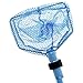 ILLUMINET Beach Toys for Kids - Ghost Crabbing Kit - Crab Net - Beach Toy Nets - Bug Catcher Kits - Critters - Youngster Fishing Fishnet - Butterfly Catching - Insects - Ghost Shrimps (Blue, 1 Pack)