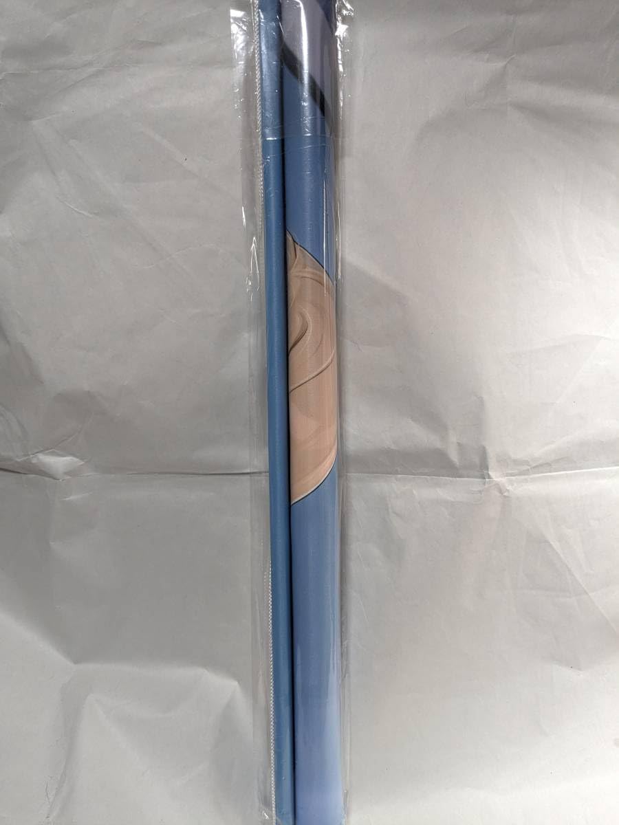 mignonページ Amazon.co.jp: mignon先生 描き下ろしB2Wスエードタペストリー(Glitter