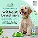 TropiClean Fresh Breath Water Additive for Dogs | Dog Breath Freshener & Teeth Cleaning Solution | No Toothpaste or Toothbrush Required | 16 oz + Pump