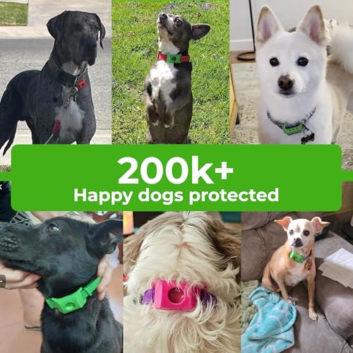 Image of FurLife Green Pet Tag - Calming & Flea and Tick Prevention Pendant for Dogs & Cats | Waterproof Collar Tag | Safe for All Breeds