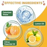 Cat Repellent Spray, Cat Deterrent Spray - Indoor & Outdoor Training Safe Cat Training Spray, Protect Furniture, Sofas, Rugs, Restricted Areas-for Behavior, Natural, Effective - Orange Pack - Image 2