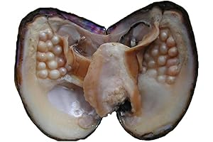 jessie Cultured Freshwater Oyster Pearl