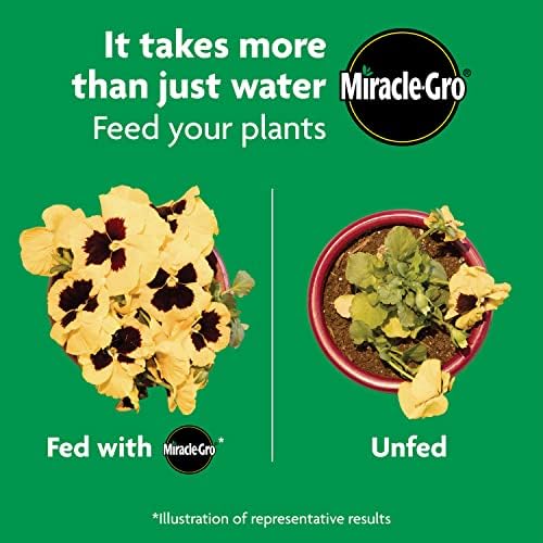 Miracle-Gro Shake 'N Feed All Purpose Plant Food, 8 lb. — view 8